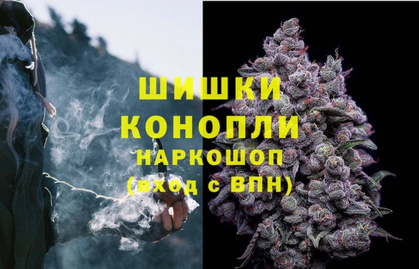 метадон Пестово