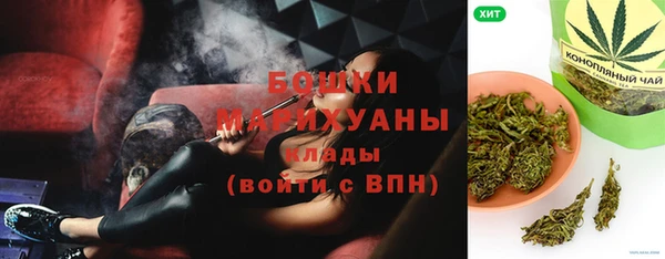 сатива Богородск