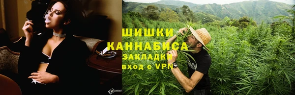 сатива Богородск